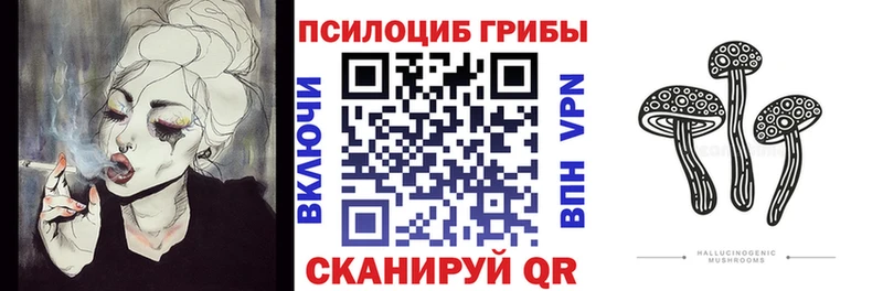 наркотики  Алапаевск  Галлюциногенные грибы Psilocybe 