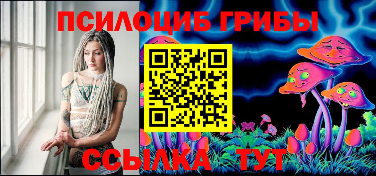 Псилоцибиновые грибы прущие грибы  Псилоцибиновые грибы Cubensis  Вход с VPN  купить  сайты  Алапаевск 