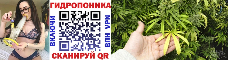 дарк нет наркотические препараты  Алапаевск  Шишки марихуана сатива 